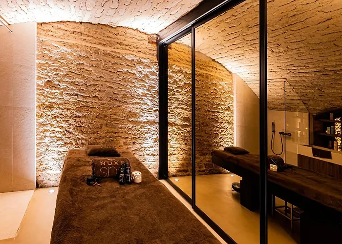 Hotel Cèdre&spa Beaune (Cote d'Or)